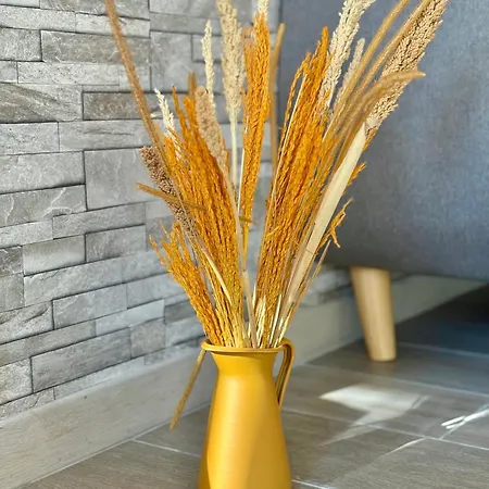 à 200m De Monaco, Moderne, Terrasse&clim *